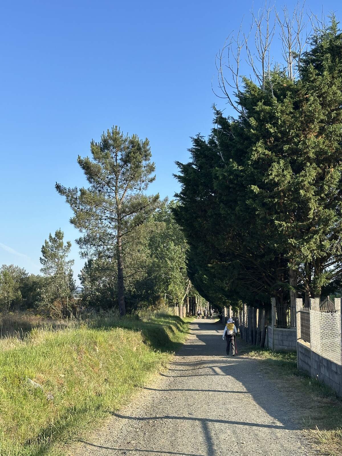 碎石路