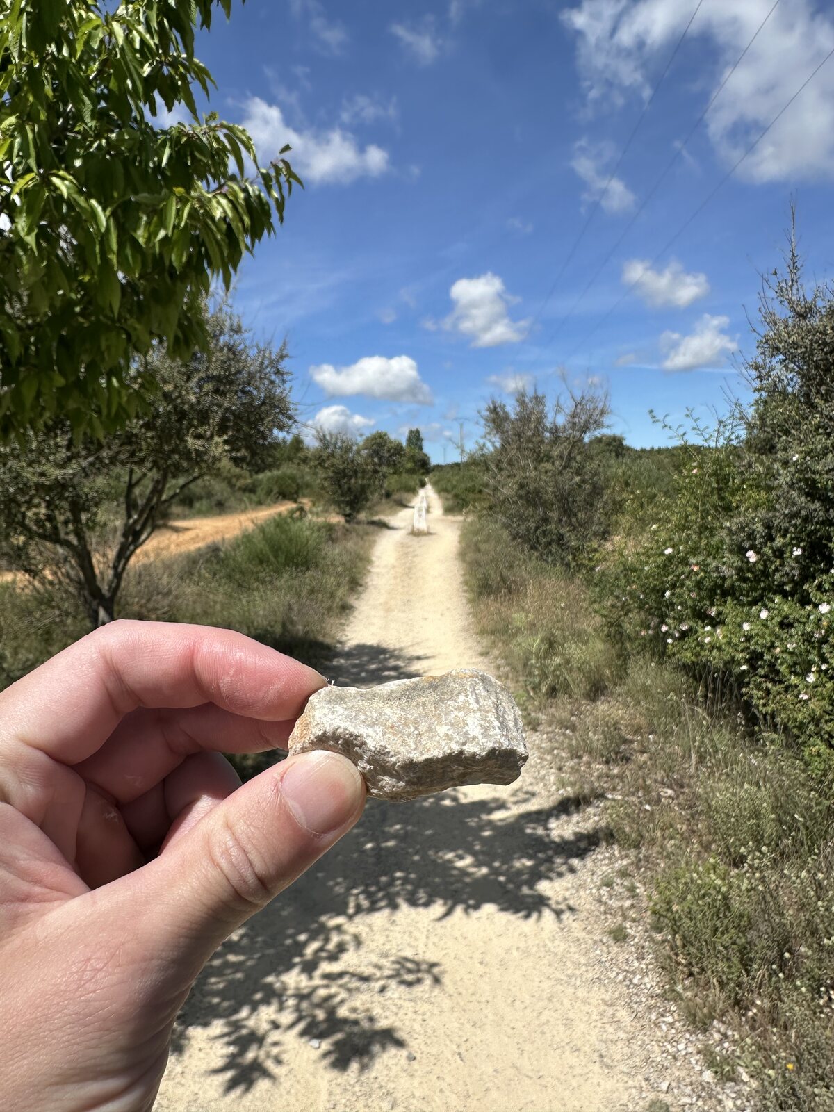 在路上撿了一顆
