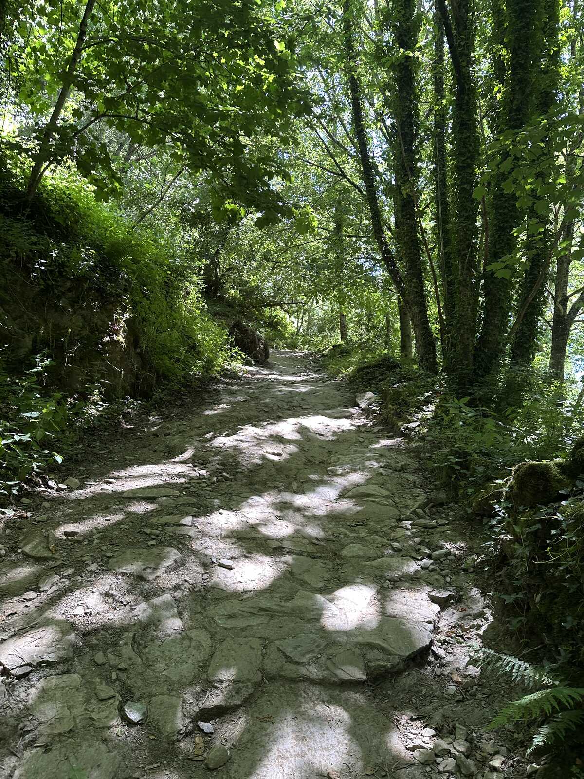   切進山裡，路面變成石板